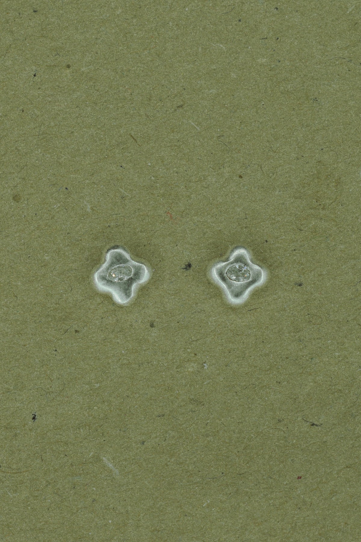 FIORE EARRINGS